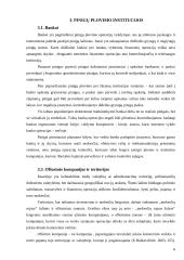 Pinigų plovimo prevencija 7 puslapis