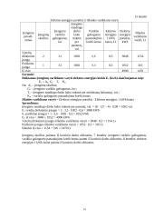 Planuojamos veiklos pelningumo prognozė: baldų gamyba UAB "Žilvitis" 14 puslapis