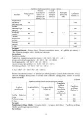 Planuojamos veiklos pelningumo prognozė: baldų gamyba UAB "Žilvitis" 19 puslapis