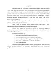 Planuojamos veiklos pelningumo prognozė: baldų gamyba UAB "Žilvitis" 3 puslapis