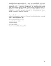 Plonasluoksnės hibridinės mikroschemos projektavimas 20 puslapis
