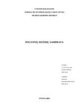 Politinių režimų samprata 1 puslapis