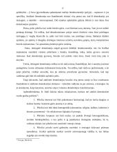 Politinių režimų samprata 13 puslapis