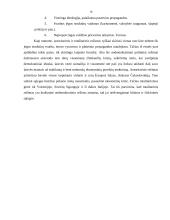 Politinių režimų samprata 19 puslapis