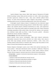 Požiūris į elektroninę bankininkystę 2 puslapis