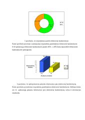 Požiūris į elektroninę bankininkystę 12 puslapis