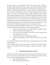 Pramogų verslas Šiaulių mieste 11 puslapis