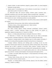 Pramogų verslo plėtros galimybės Mažeikių mieste 11 puslapis