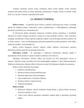 Pramogų verslo plėtros galimybės Mažeikių mieste 12 puslapis