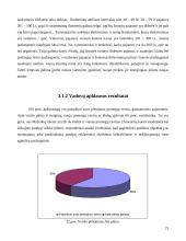 Pramogų verslo plėtros galimybės Mažeikių mieste 20 puslapis
