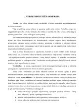 Pramogų verslo plėtros galimybės Mažeikių mieste 3 puslapis