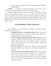 Pramogų verslo plėtros galimybės Mažeikių mieste 4 puslapis