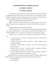 Pramogų verslo plėtros galimybės Mažeikių mieste 6 puslapis