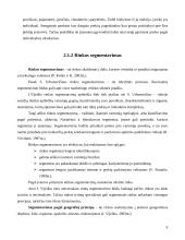 Pramogų verslo plėtros galimybės Mažeikių mieste 8 puslapis