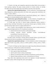 Pramogų verslo plėtros galimybės Mažeikių mieste 9 puslapis