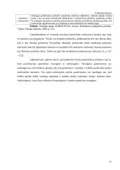 Prekės pateikimo vartotojui kelio parinkimo vertinimas: sporto aprangos gamintoja AB "Audimas" 12 puslapis