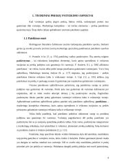 Prekės pateikimo vartotojui kelio parinkimo vertinimas: sporto aprangos gamintoja AB "Audimas" 4 puslapis