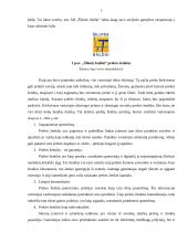Prekės ženklo kūrimo projektas: AB "Šilutės baldai" 7 puslapis