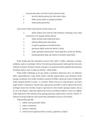Prekės ženklo tobulinimas: AB "Snaigė" 5 puslapis