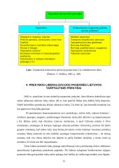 Prekyba drabužiais: UAB "Effigy" 15 puslapis