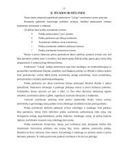 Prekybos įmonės asortimento politika: "Lakaja" 20 puslapis
