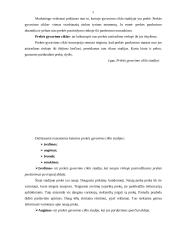 Prekybos įmonės asortimento politika: "Lakaja" 5 puslapis