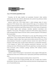 Pridėtinės vertės mokesčio (PVM) įgyvendinimo teisinės nuostatos 20 puslapis