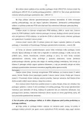 Pridėtinės vertės mokesčio apmokestinamosios vertės ir apmokestinimo momento nustatymo ypatumai 13 puslapis