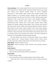Privalomas sveikatos draudimas Lietuvoje (praktika, problemos, perspektyvos) 3 puslapis