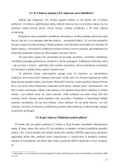 Privalumai ir trūkumai Lietuvai stojant į Europos Sąjungą (ES) 11 puslapis