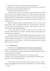 Privalumai ir trūkumai Lietuvai stojant į Europos Sąjungą (ES) 12 puslapis
