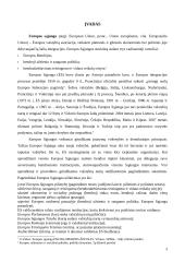 Privalumai ir trūkumai Lietuvai stojant į Europos Sąjungą (ES) 3 puslapis