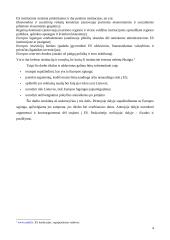 Privalumai ir trūkumai Lietuvai stojant į Europos Sąjungą (ES) 4 puslapis