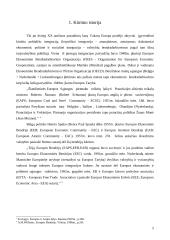 Privalumai ir trūkumai Lietuvai stojant į Europos Sąjungą (ES) 5 puslapis