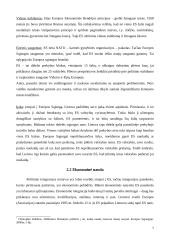 Privalumai ir trūkumai Lietuvai stojant į Europos Sąjungą (ES) 7 puslapis