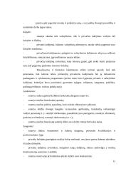 Privatizavimo atvejai užsienyje 13 puslapis