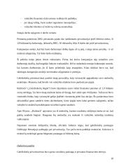 Privatizavimo atvejai užsienyje 20 puslapis