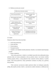 Privatizavimo atvejai užsienyje 5 puslapis