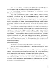 Privatizavimo atvejai užsienyje 9 puslapis