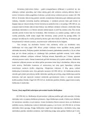 Priverstinis baudos išieškojimas 14 puslapis