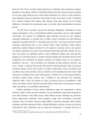 Priverstinis baudos išieškojimas 15 puslapis