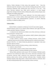 Priverstinis baudos išieškojimas 16 puslapis