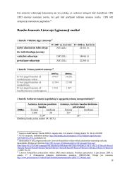 Priverstinis baudos išieškojimas 19 puslapis
