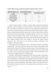 Priverstinis baudos išieškojimas 20 puslapis