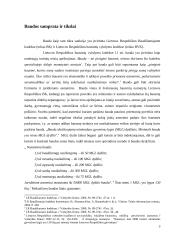 Priverstinis baudos išieškojimas 3 puslapis