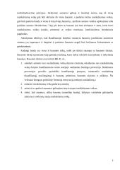 Priverstinis baudos išieškojimas 5 puslapis