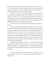 Probleminių šeimų plitimo priežastys 13 puslapis