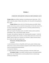 Probleminių šeimų plitimo priežastys 17 puslapis