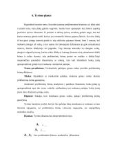 Probleminių šeimų plitimo priežastys 19 puslapis