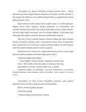 Probleminių šeimų plitimo priežastys 6 puslapis